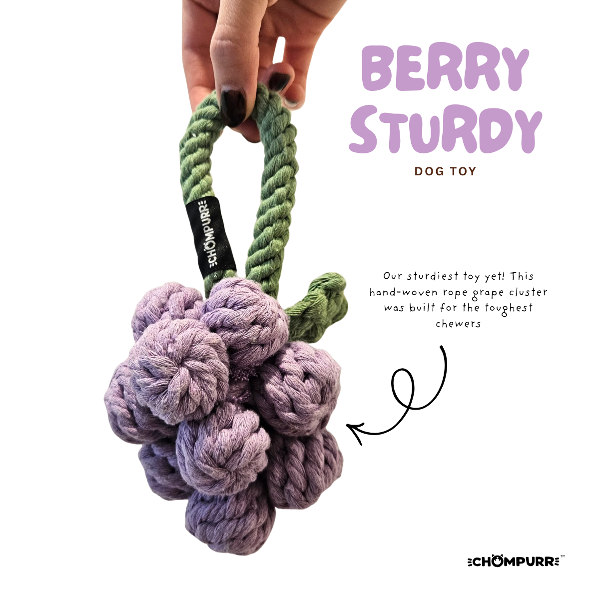 Berry Sturdy photo 1