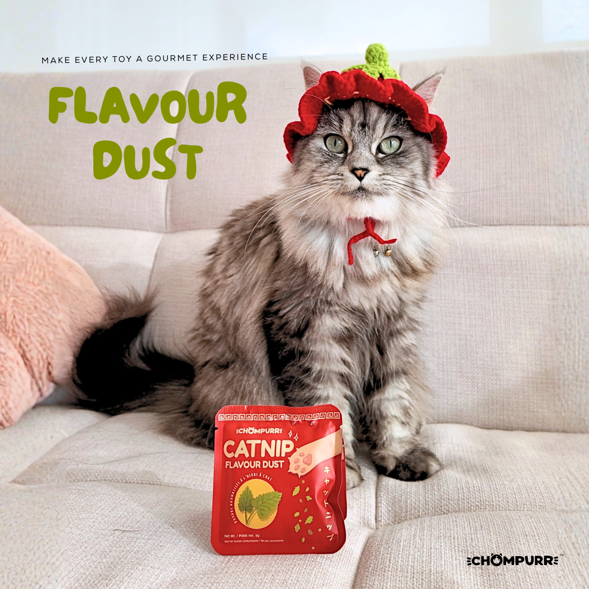 Catnip Sprinkles photo 1
