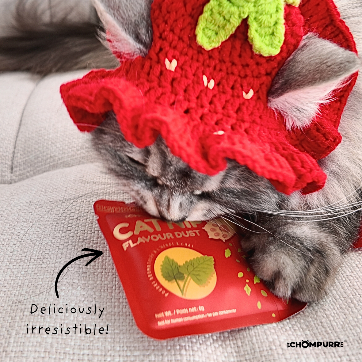 Catnip Sprinkles photo 2