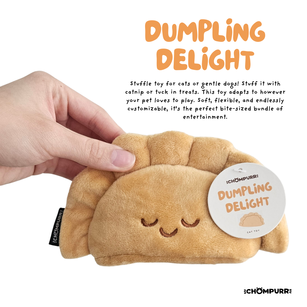 Dumpling Delight photo 1