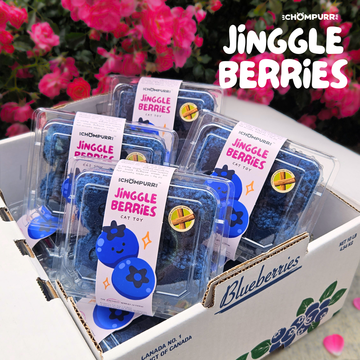 Jinggle Berries photo 1